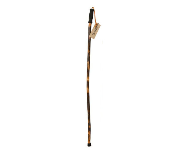 Hike Cane