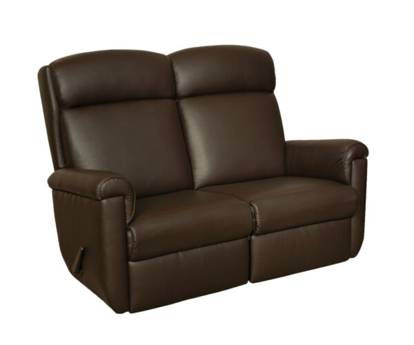 58" Harrison Reclining Loveseat