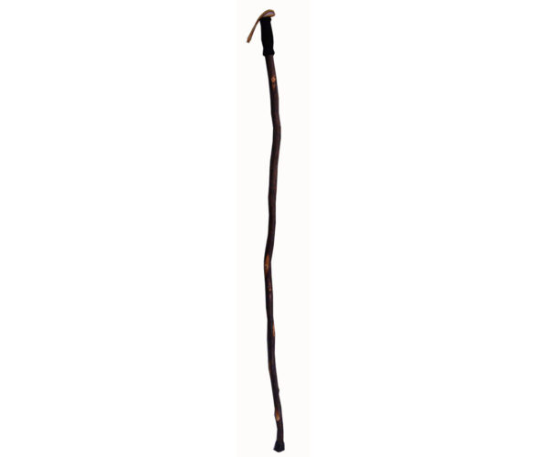 Hiker Cane